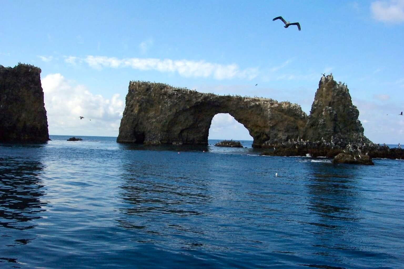 Channel Islands National Park