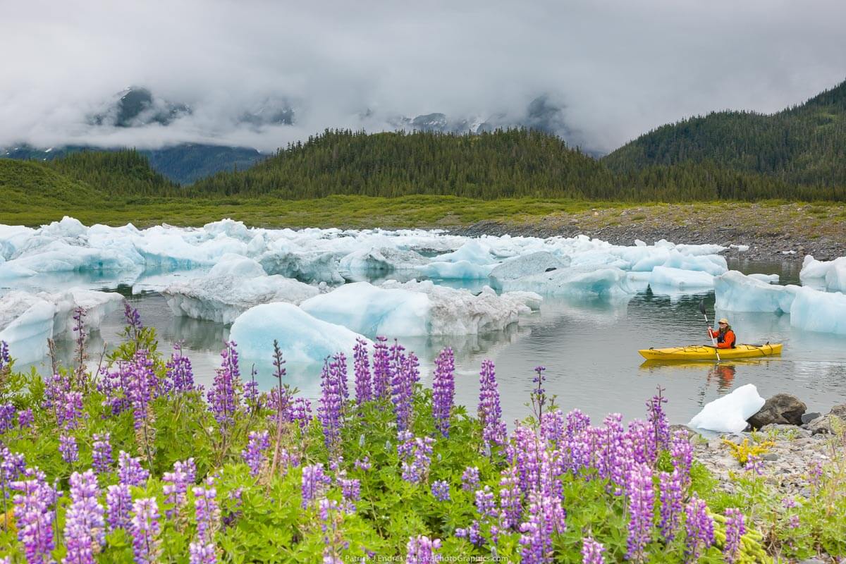 Chugach National Forest