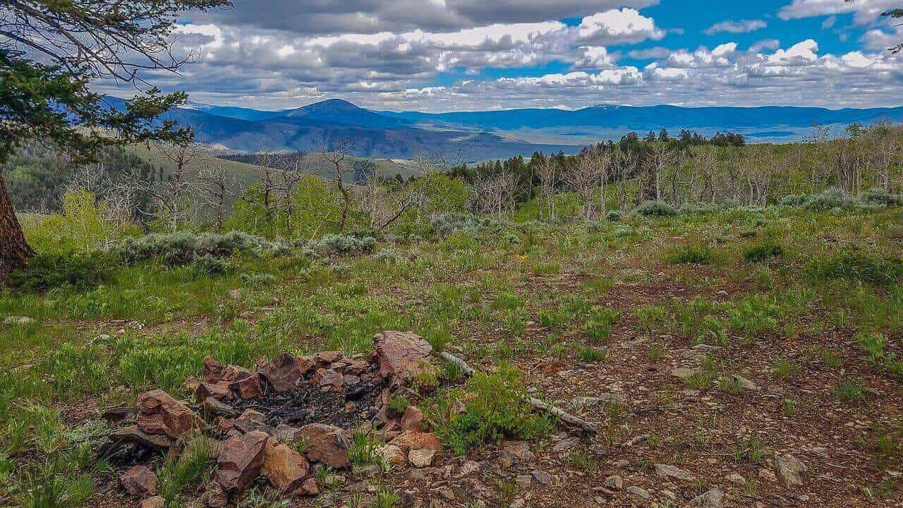 Gunnison National Forest