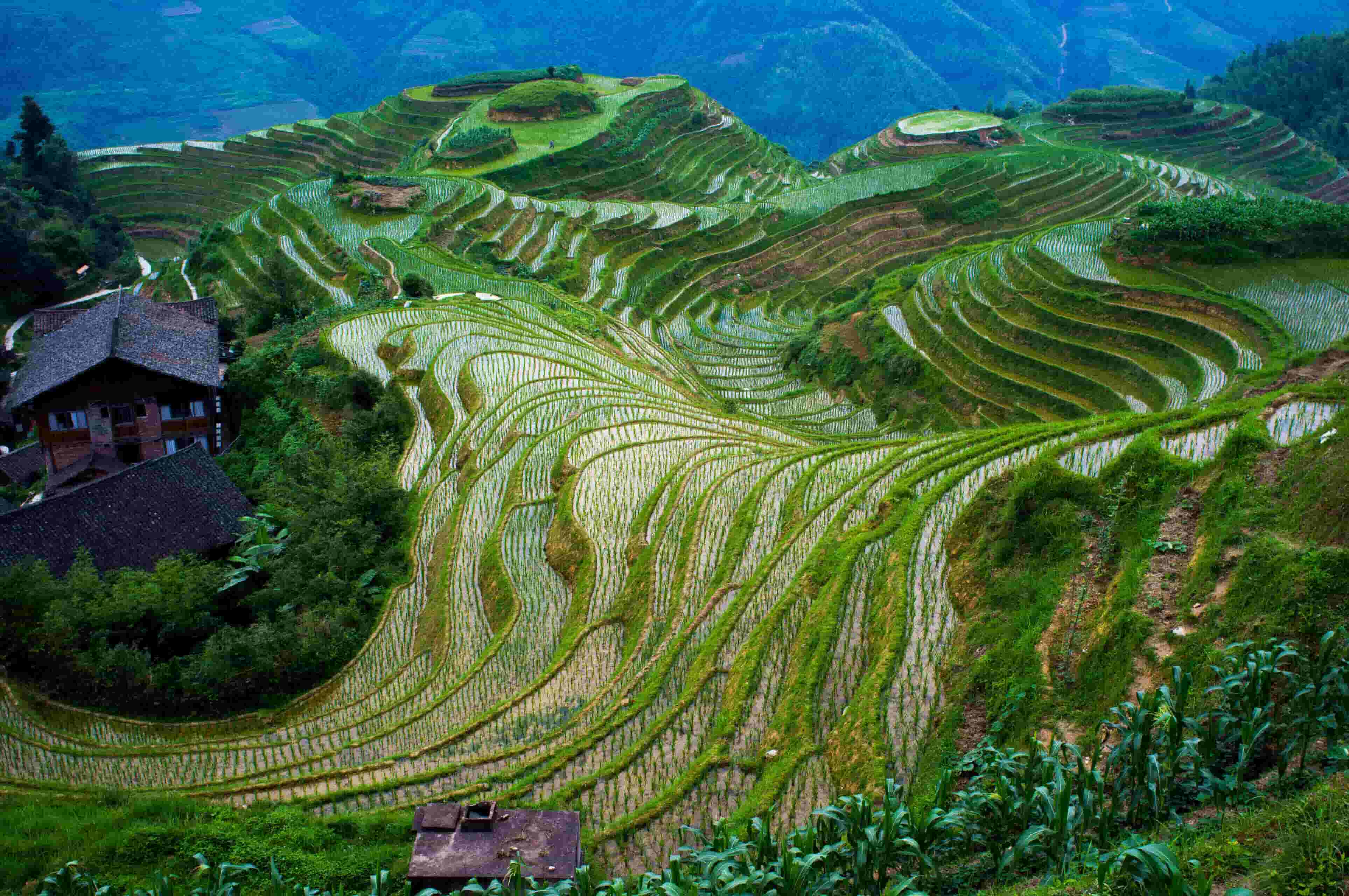 Longji near Guilin