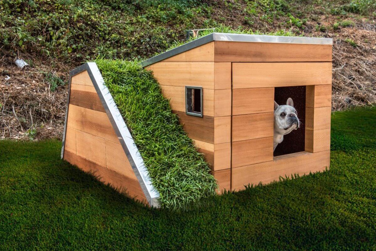 pet house 