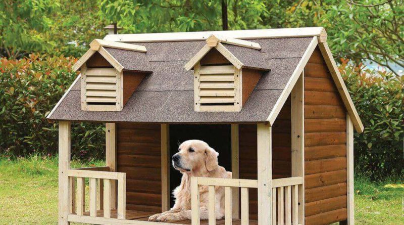 pet house