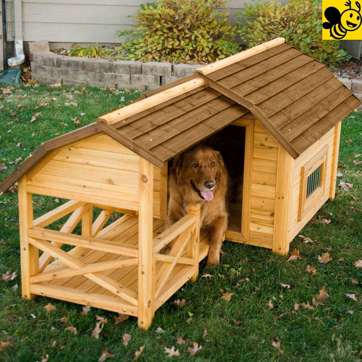 Unique and Fancy Pet House Design You'll Love It - Live Enhanced