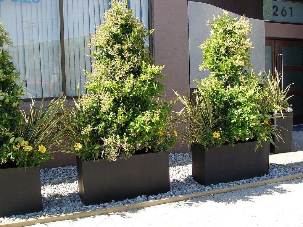 resin plants