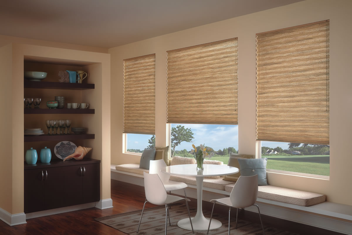 Pleated window Blinds