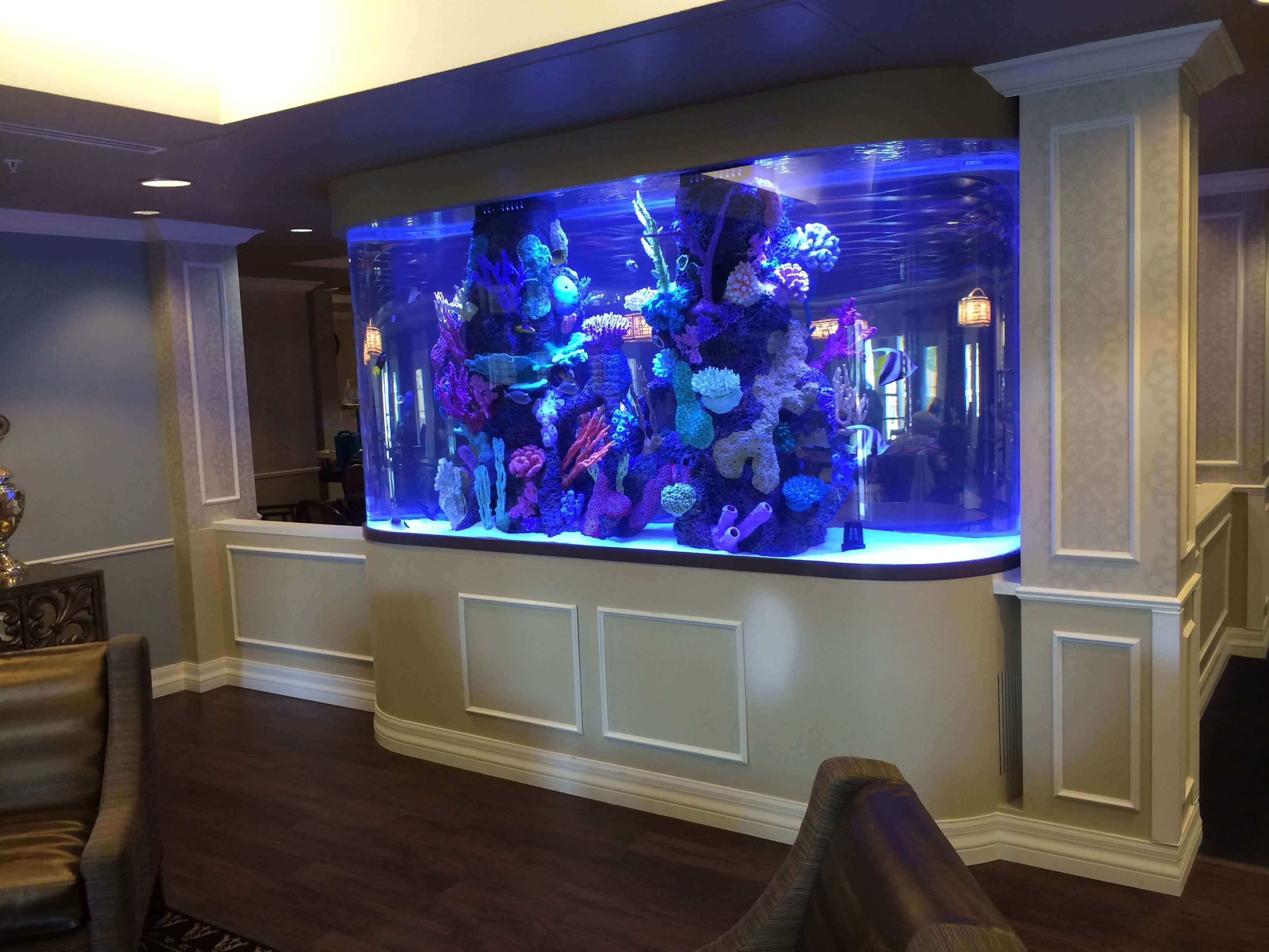 living room decorating ideas fish tank