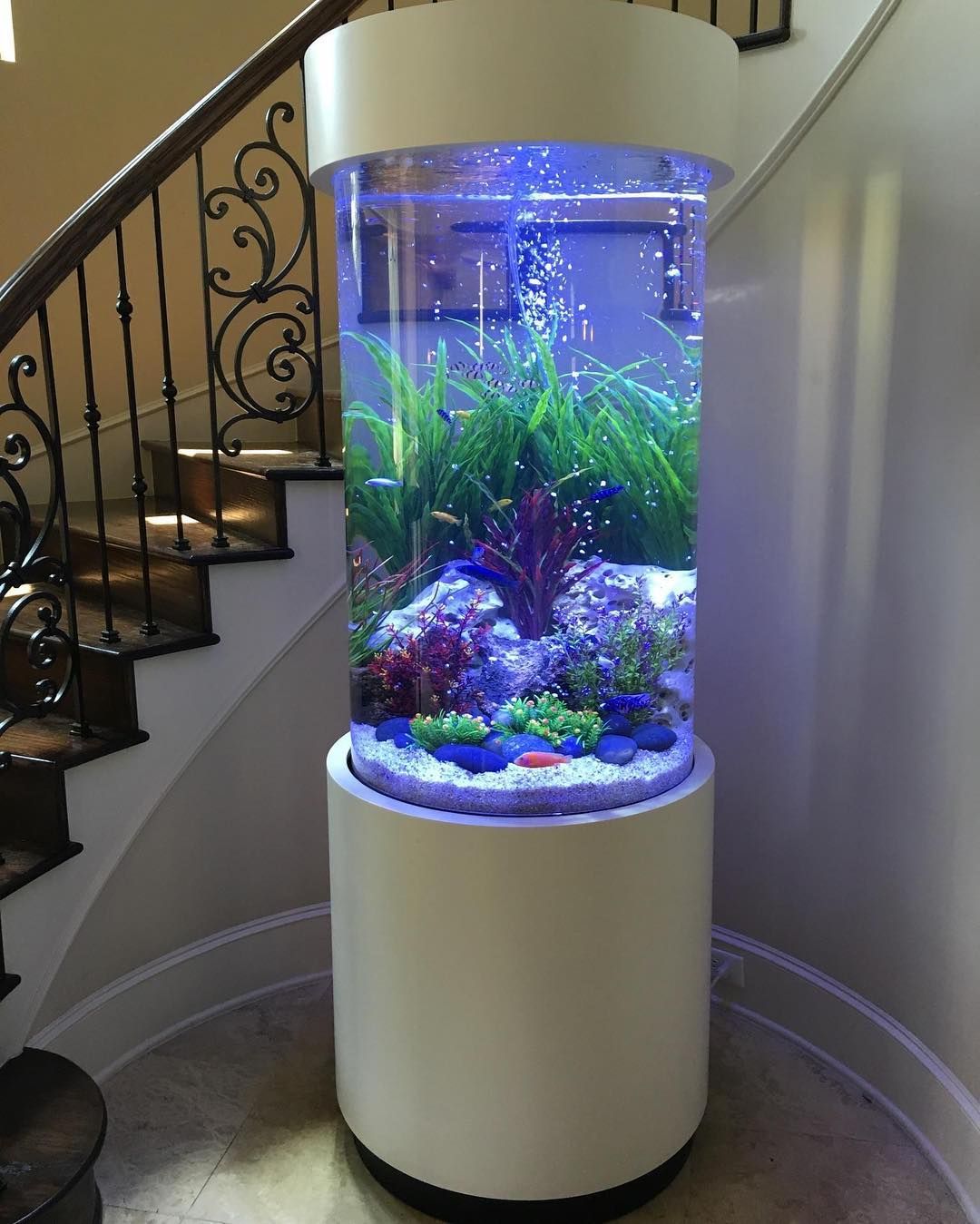 aquarium