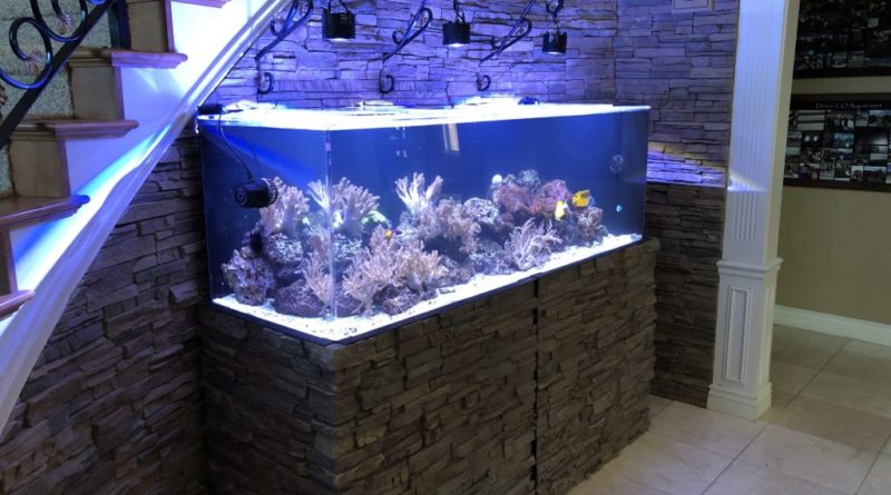 aquarium gift ideas