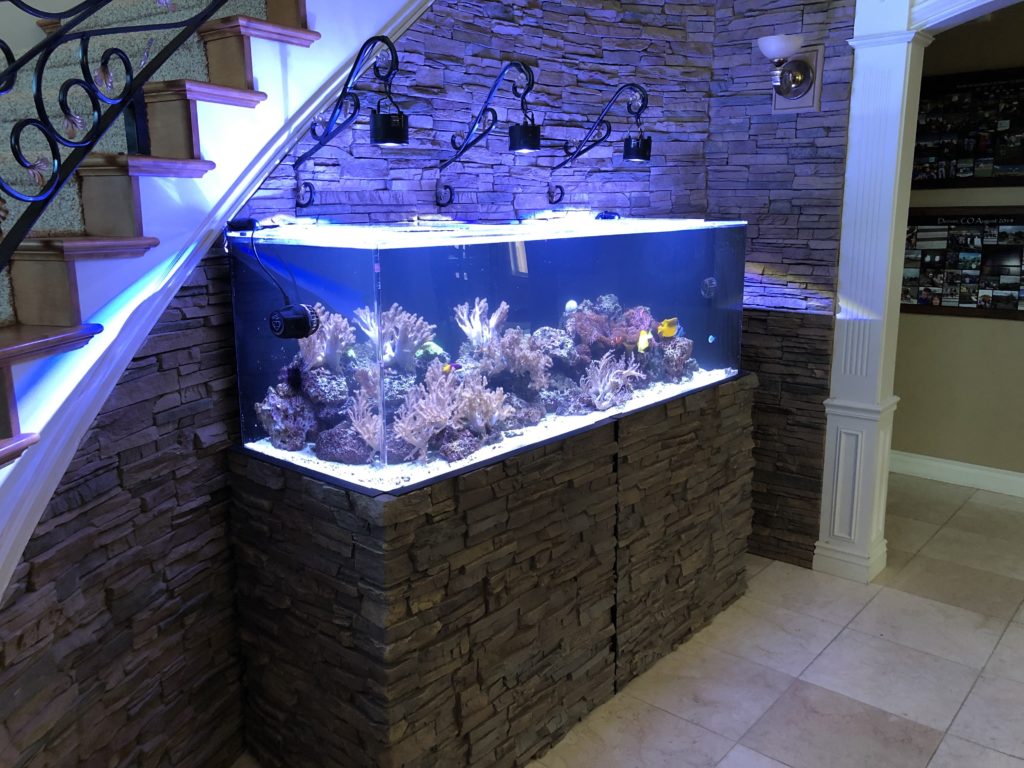 aquarium