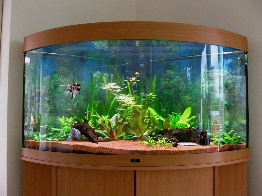 aquarium