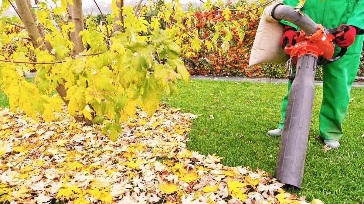 leaf vacuum mulcher