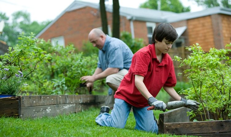 Home Gardening