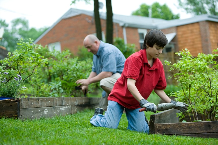 Home Gardening