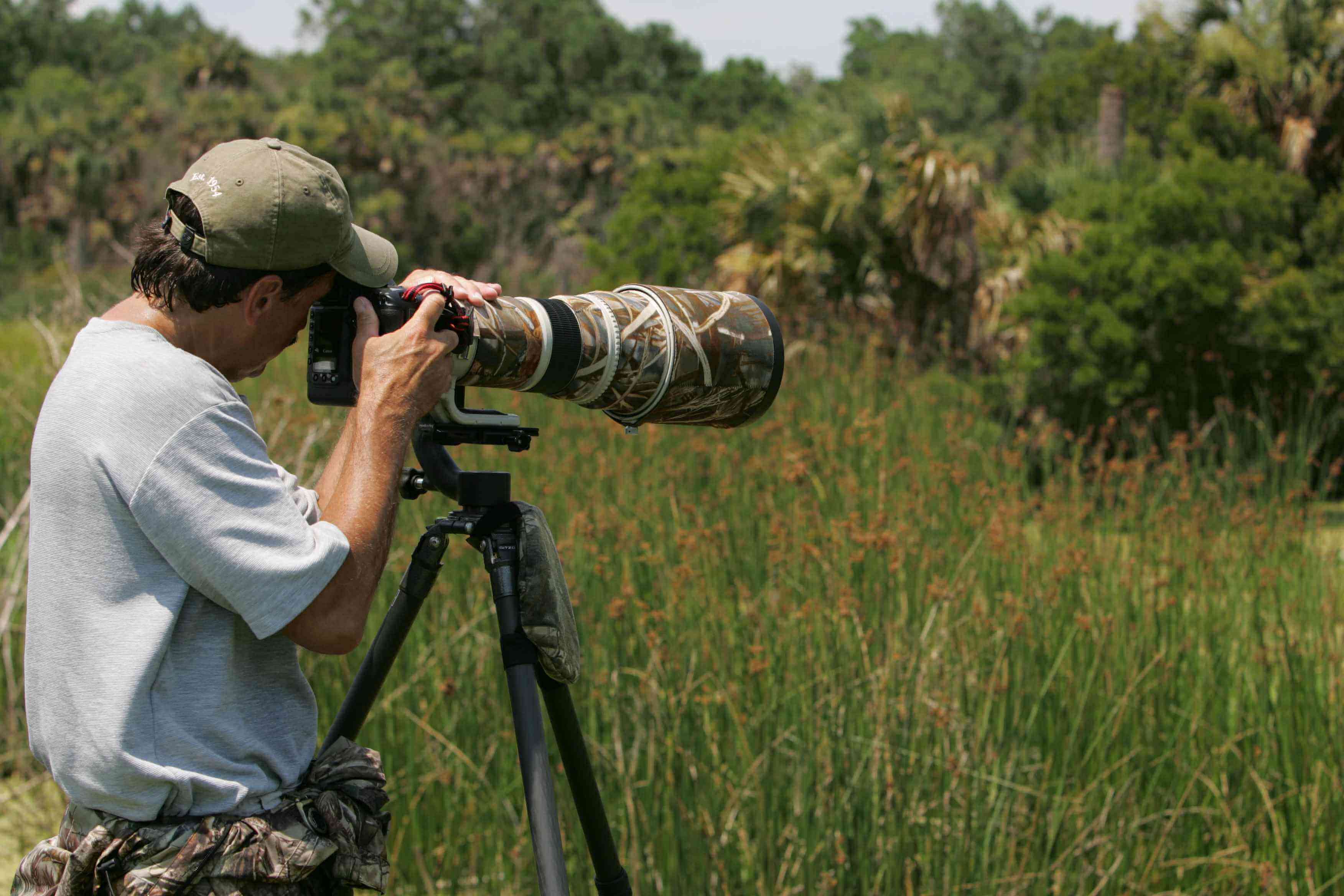 Wildlife Photography