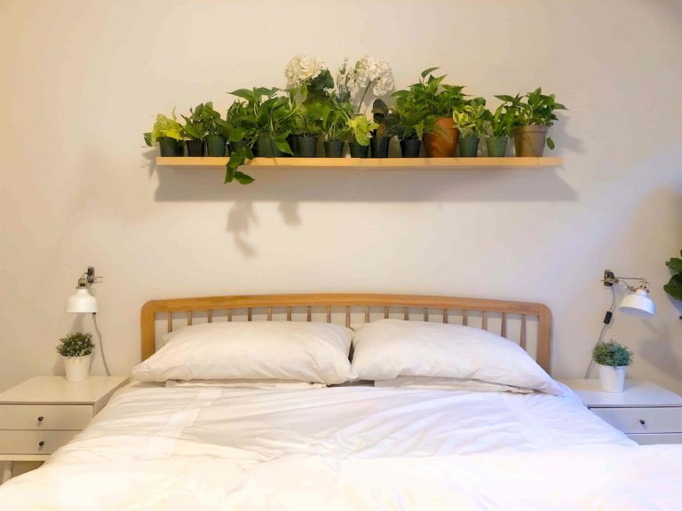 Decorate Bedroom With Plants