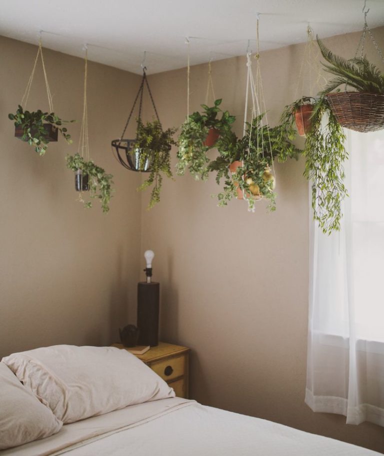 How to Decorate your Bedroom With Plants Live Enhanced
