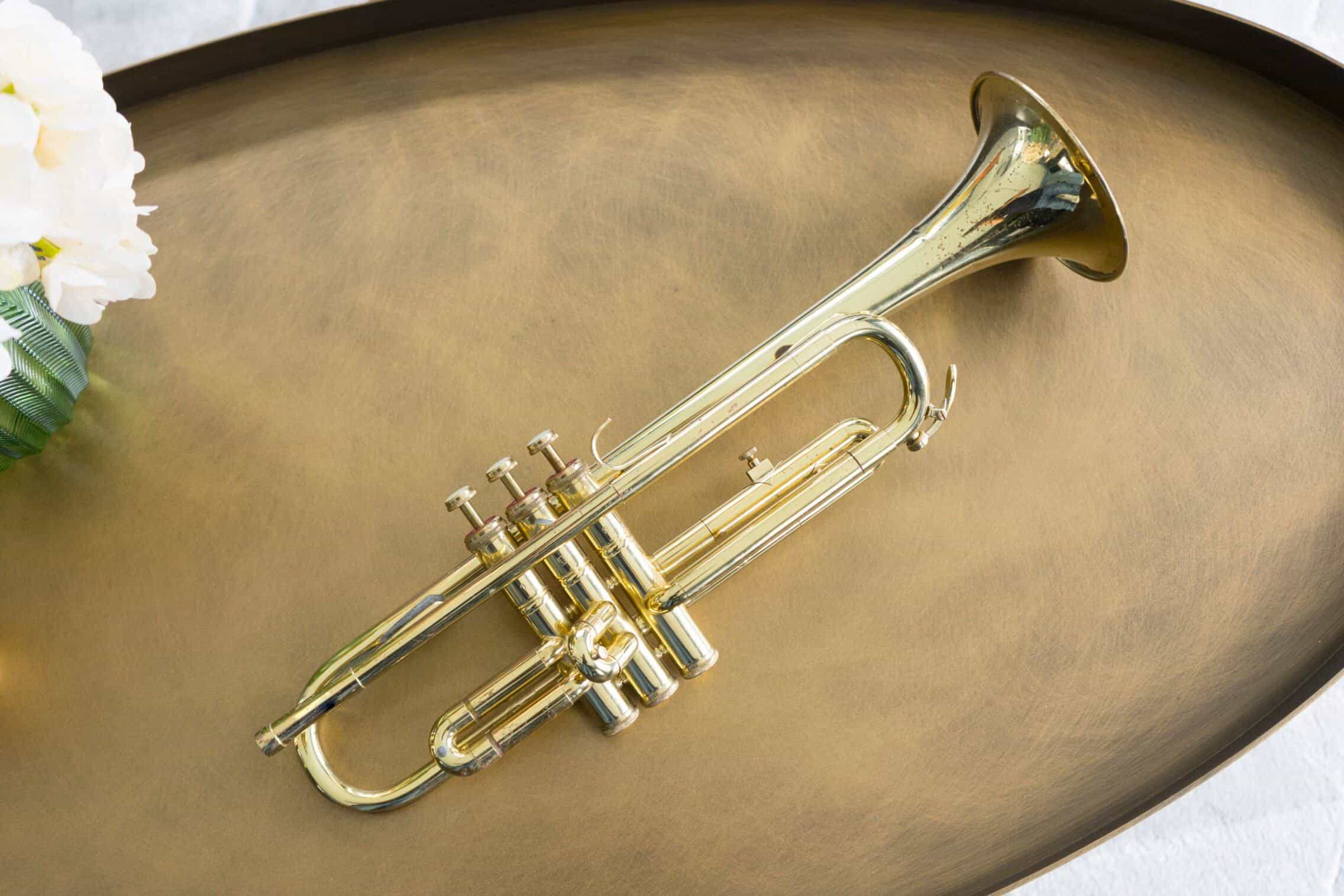 Brass Fixtures or Instruments