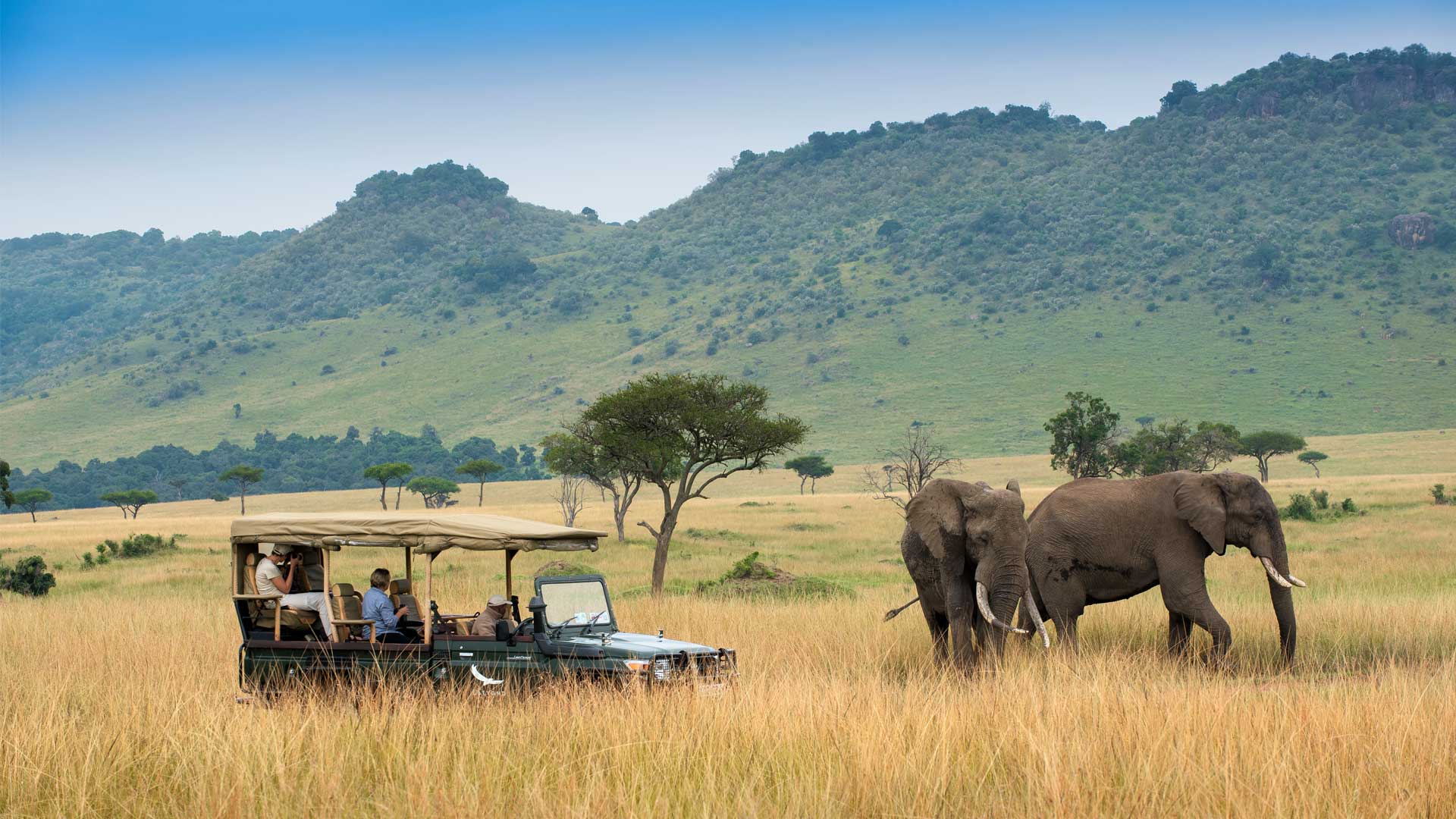 Masai Mara, Kenya 