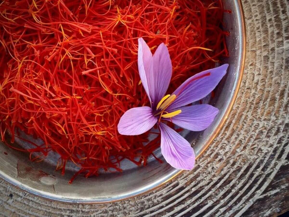 Saffron 