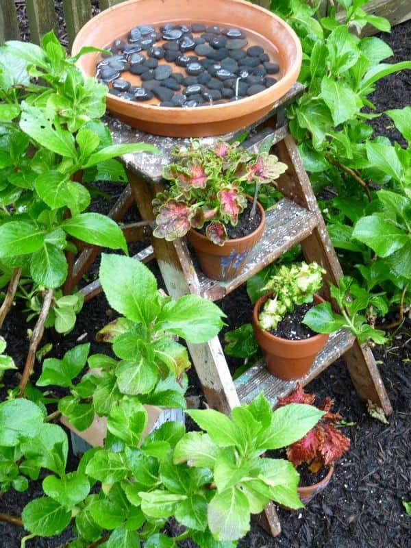 bird bath pot 