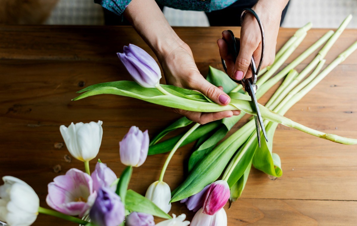 fresh flower 