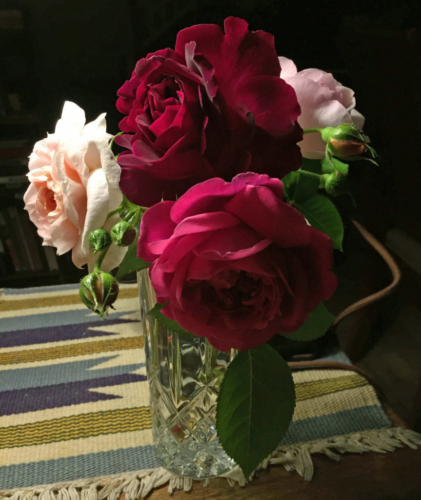 How to Keep Flowers Fresh for a Long Time Live Enhanced