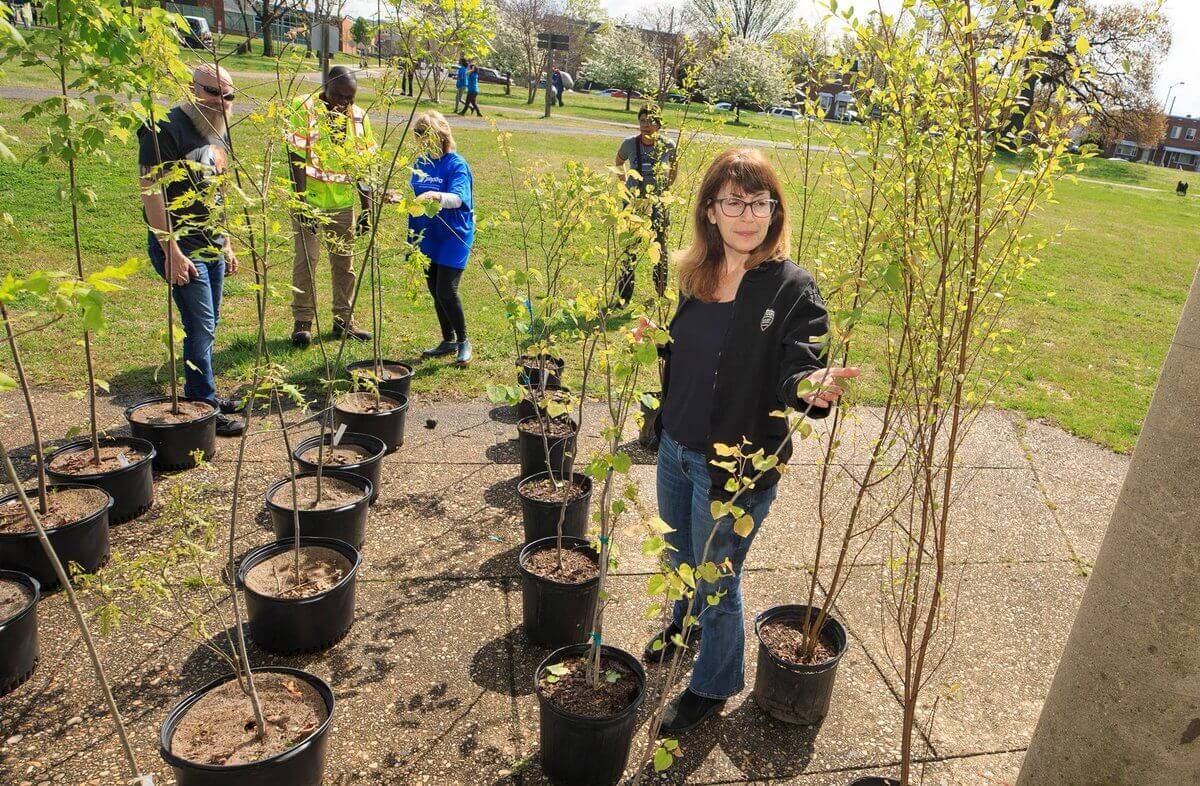 planting tree