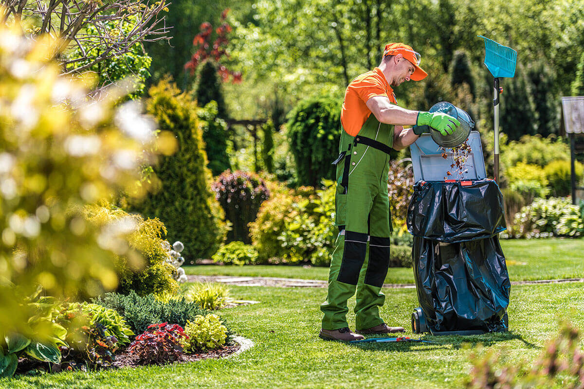 Essential Landscaping Maintenance Tips for Spring Live Enhanced