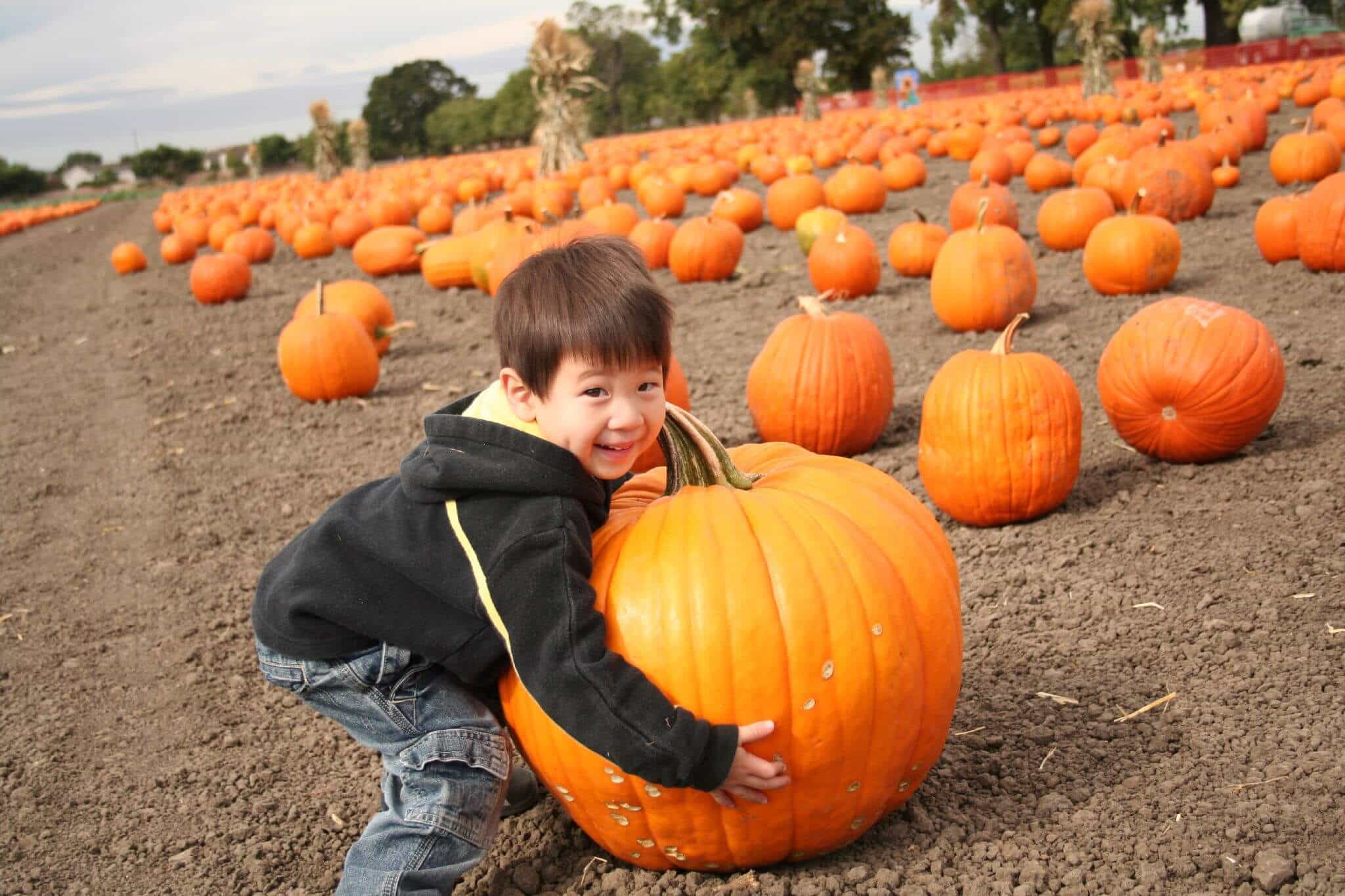 halloween games 