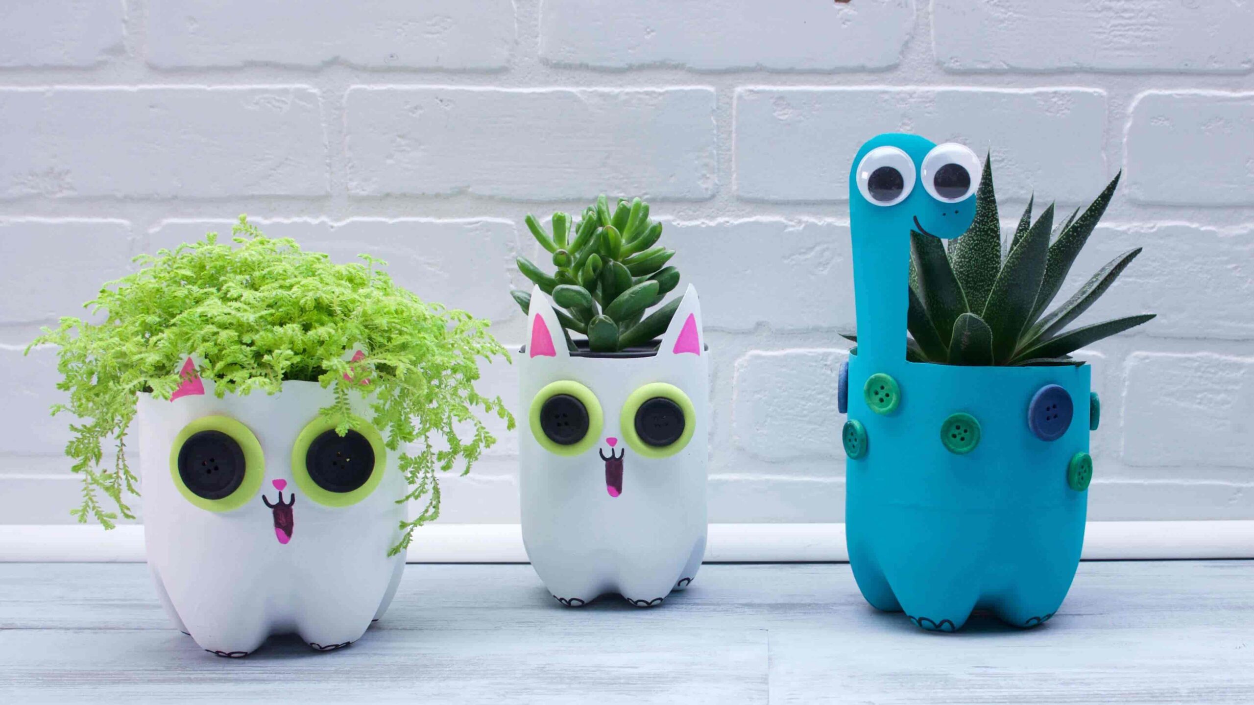 plastic bottle planters