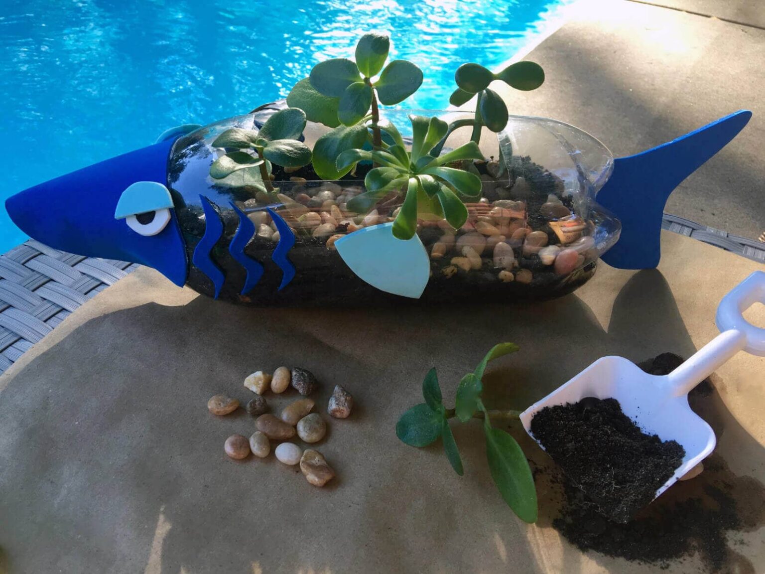 How to Make Beautiful Planters from Plastic Bottles Live Enhanced