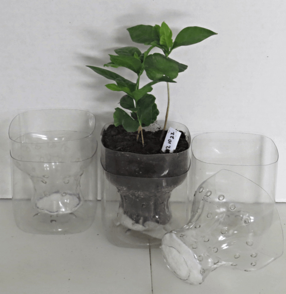 plastic bottle planters