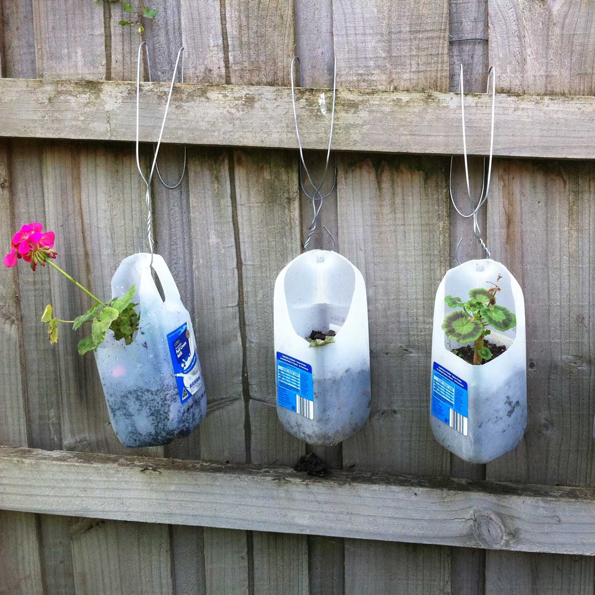 plastic bottle planters
