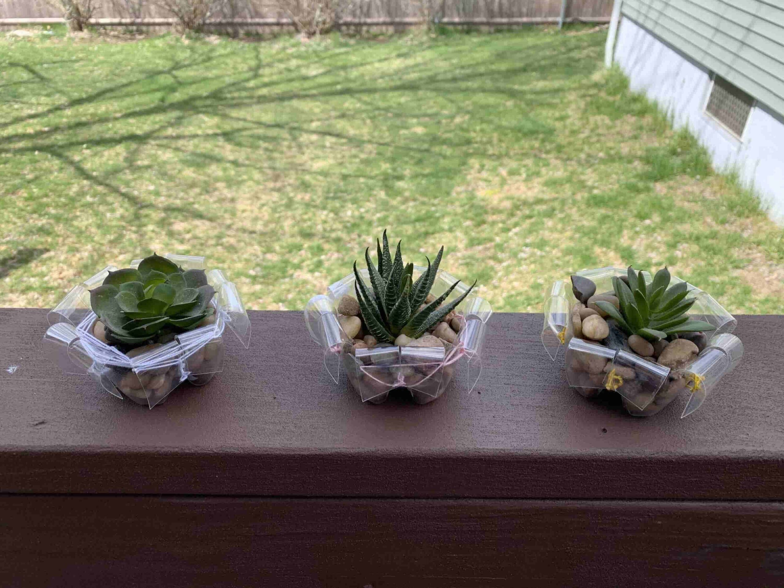 plastic bottle planters