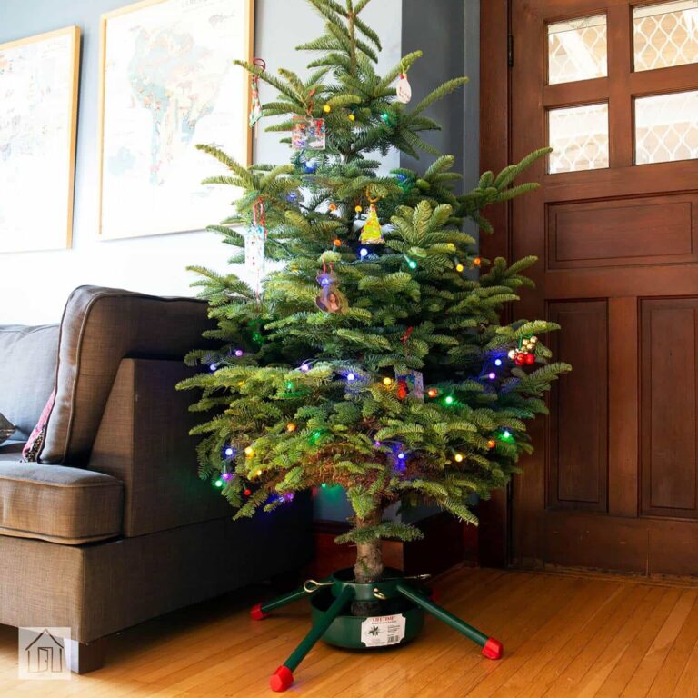 How to Make Your Own Christmas Tree Stand at Home Live Enhanced