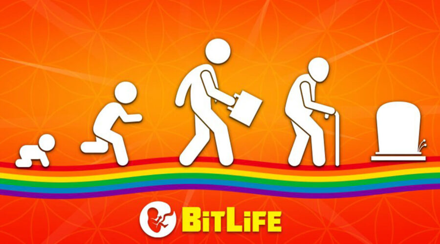 BitLife Application