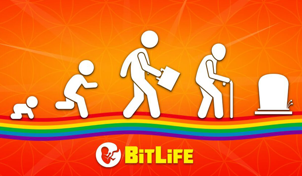 BitLife Application