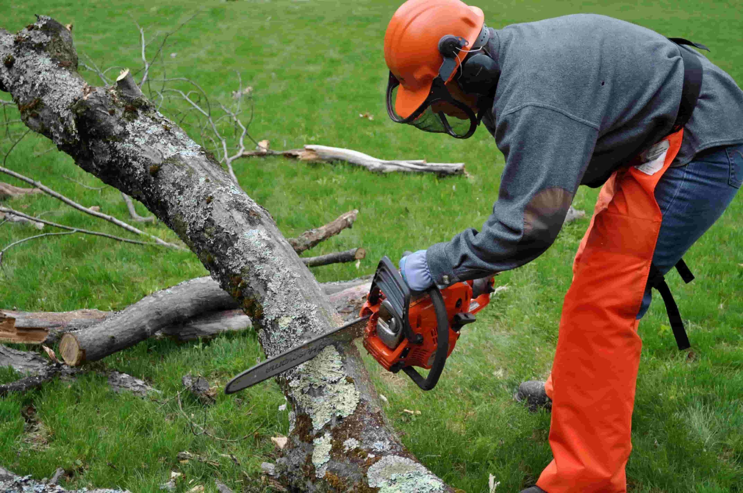 Chainsaw Safety