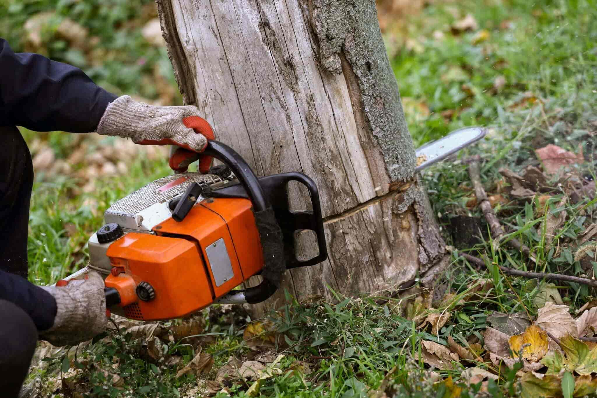 Chainsaw Safety