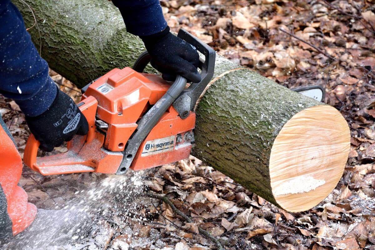 Chainsaw Safety