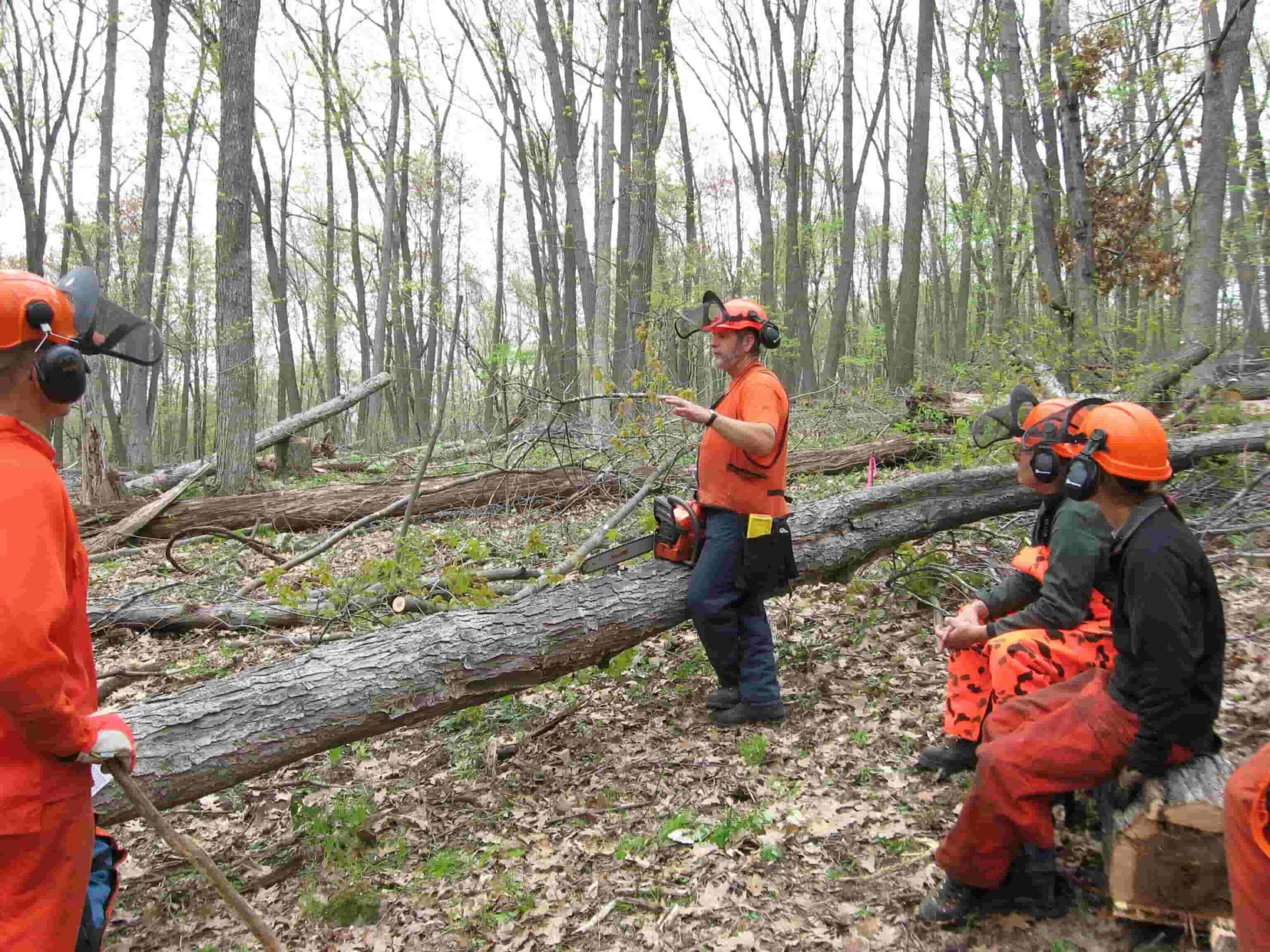 Chainsaw Safety