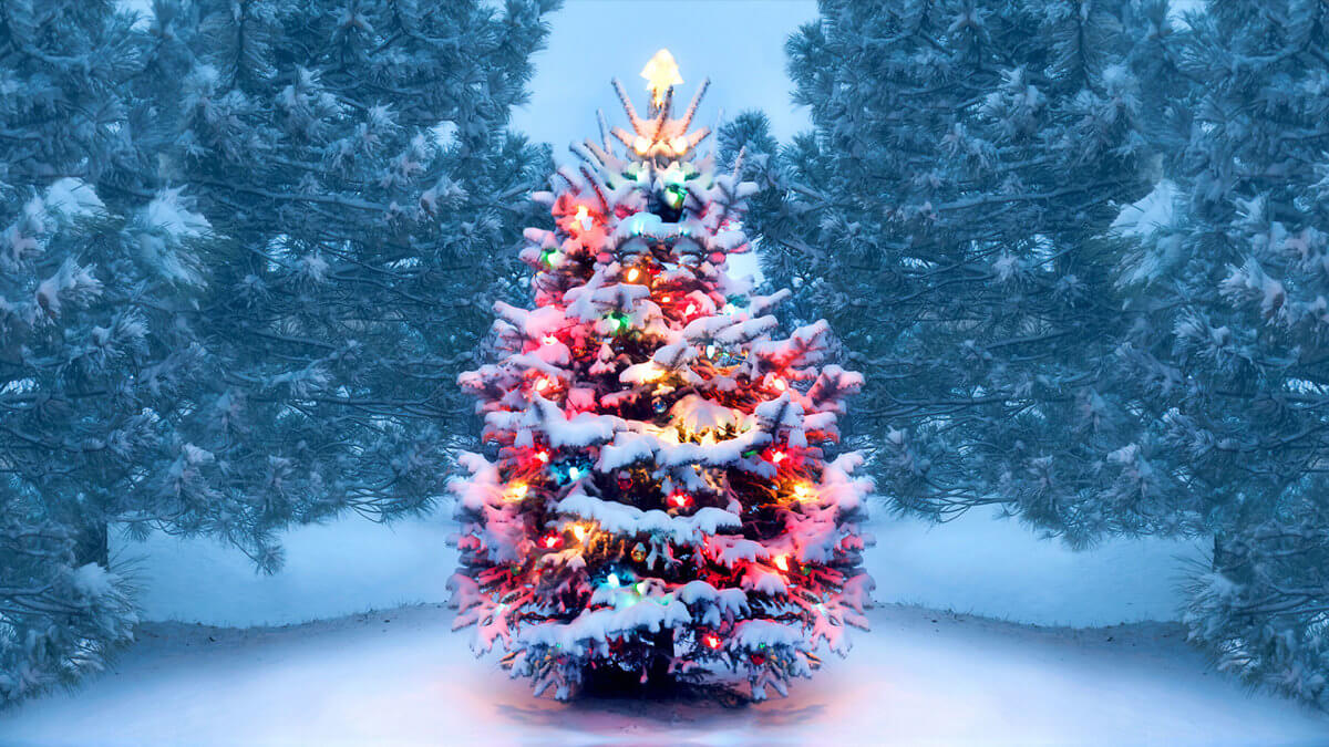 Christmas Tree Safety Tips and Ideas