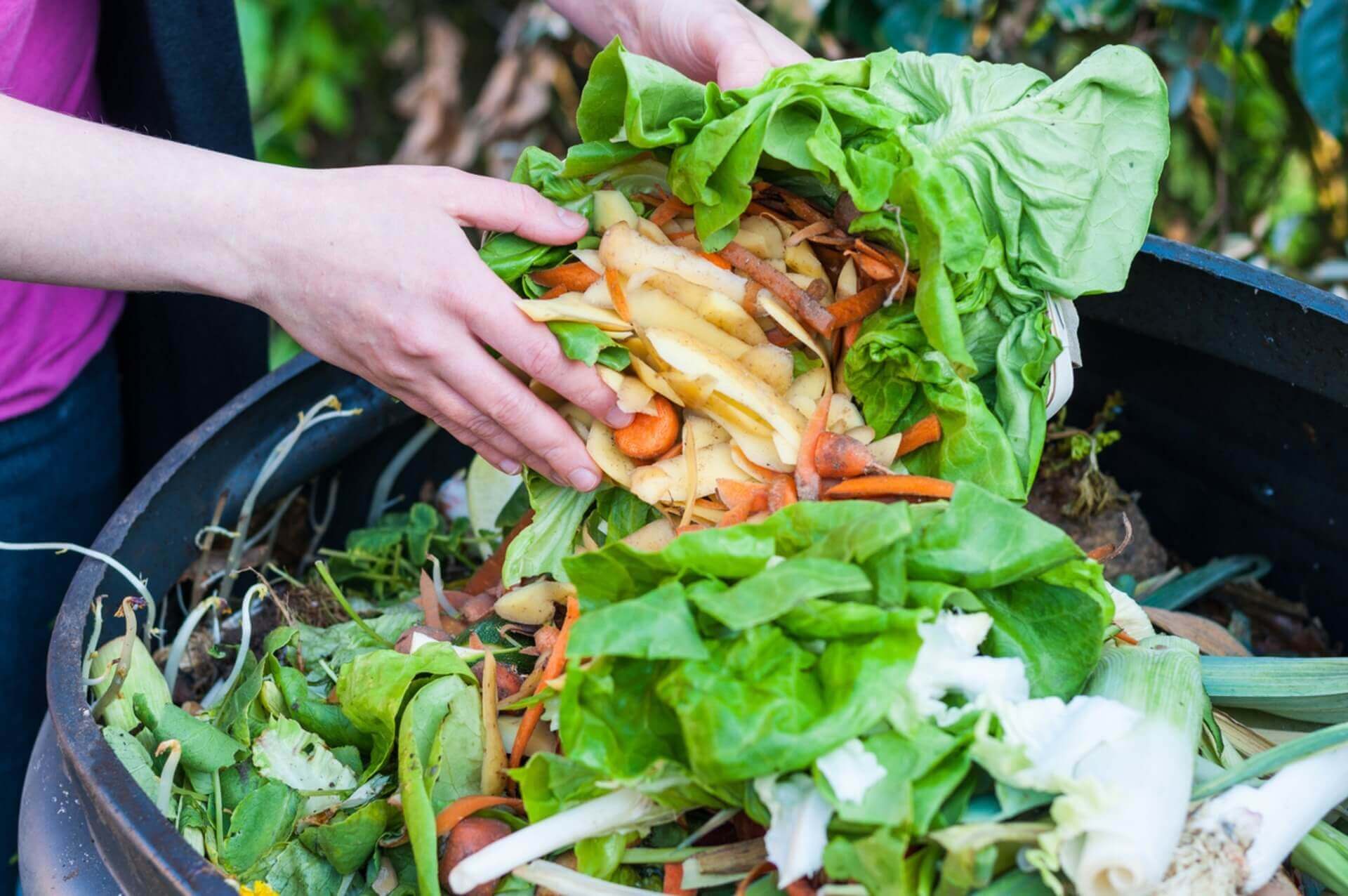 Global Food Waste Issue