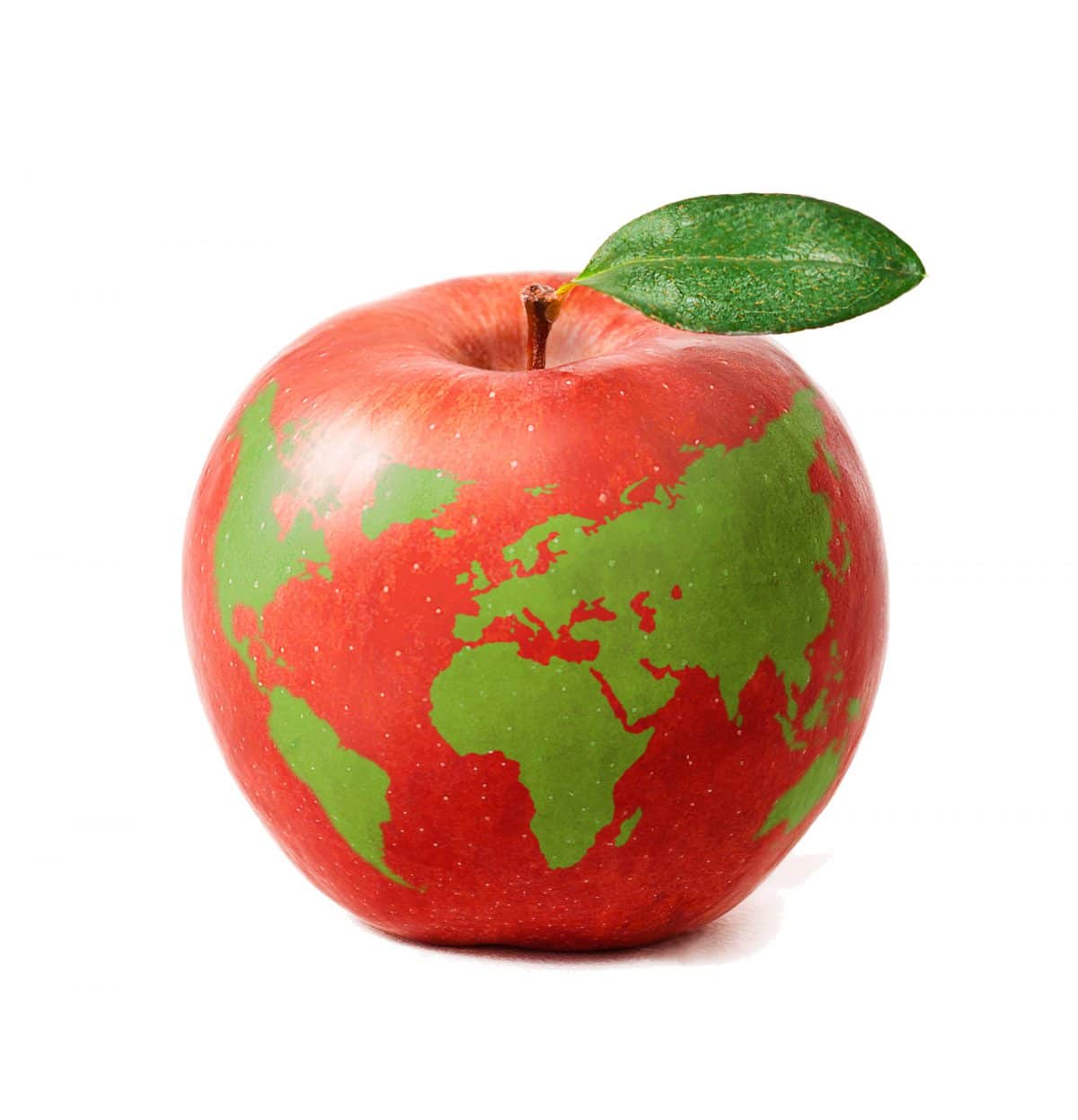 Global Food Waste Issue