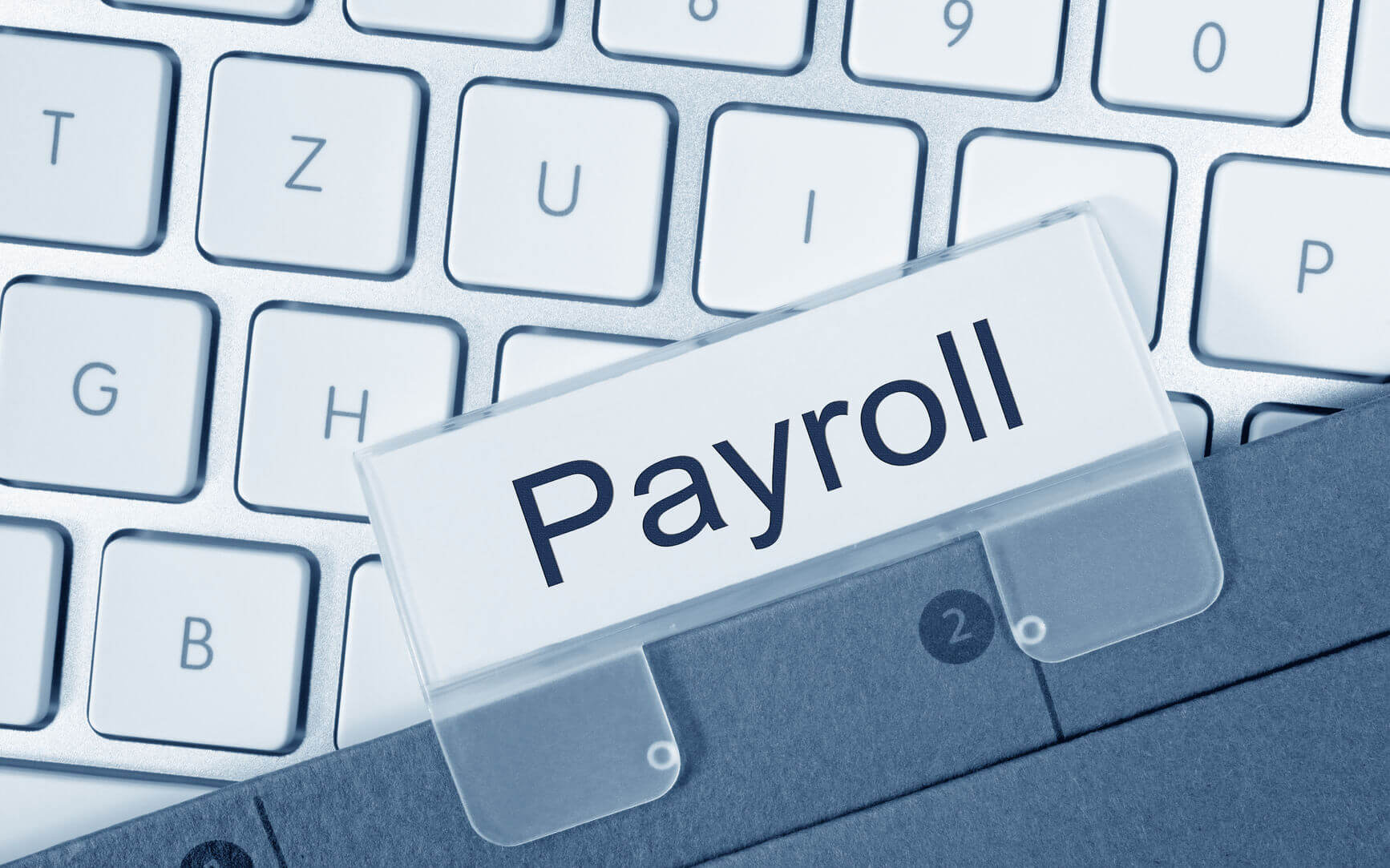 Payroll Service Provider