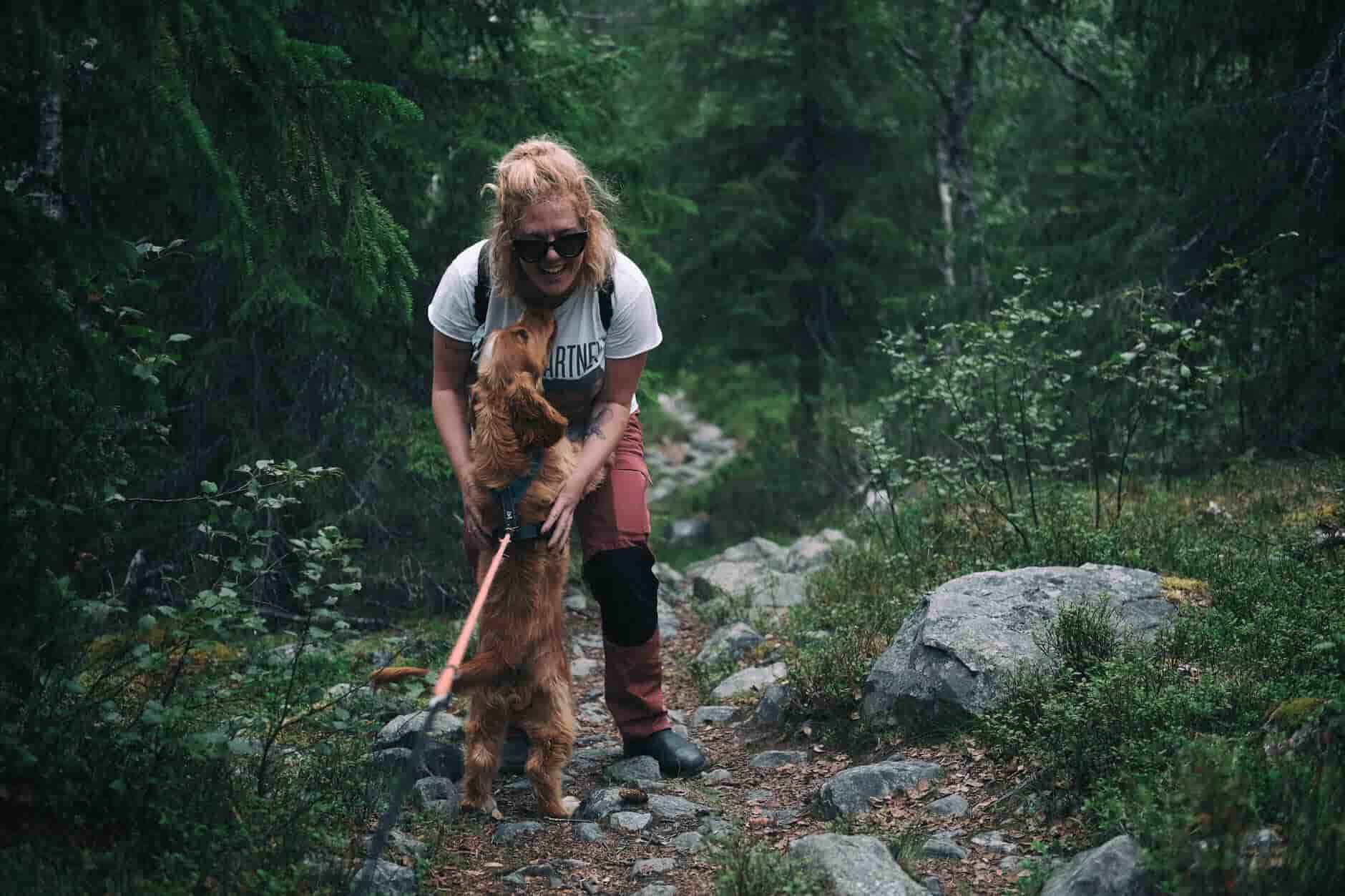 Hiking with dog