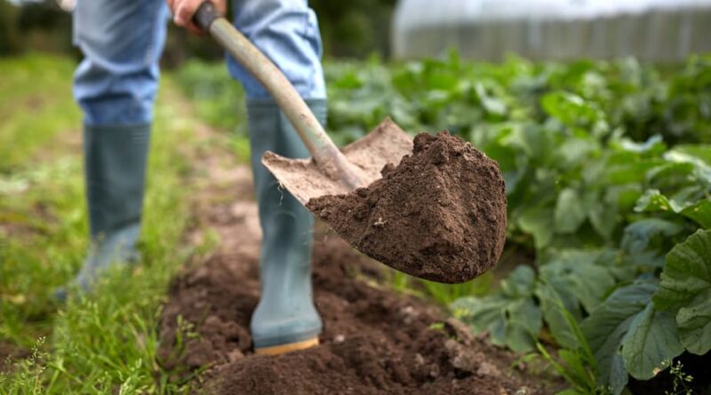 Types-of-Shovels 3