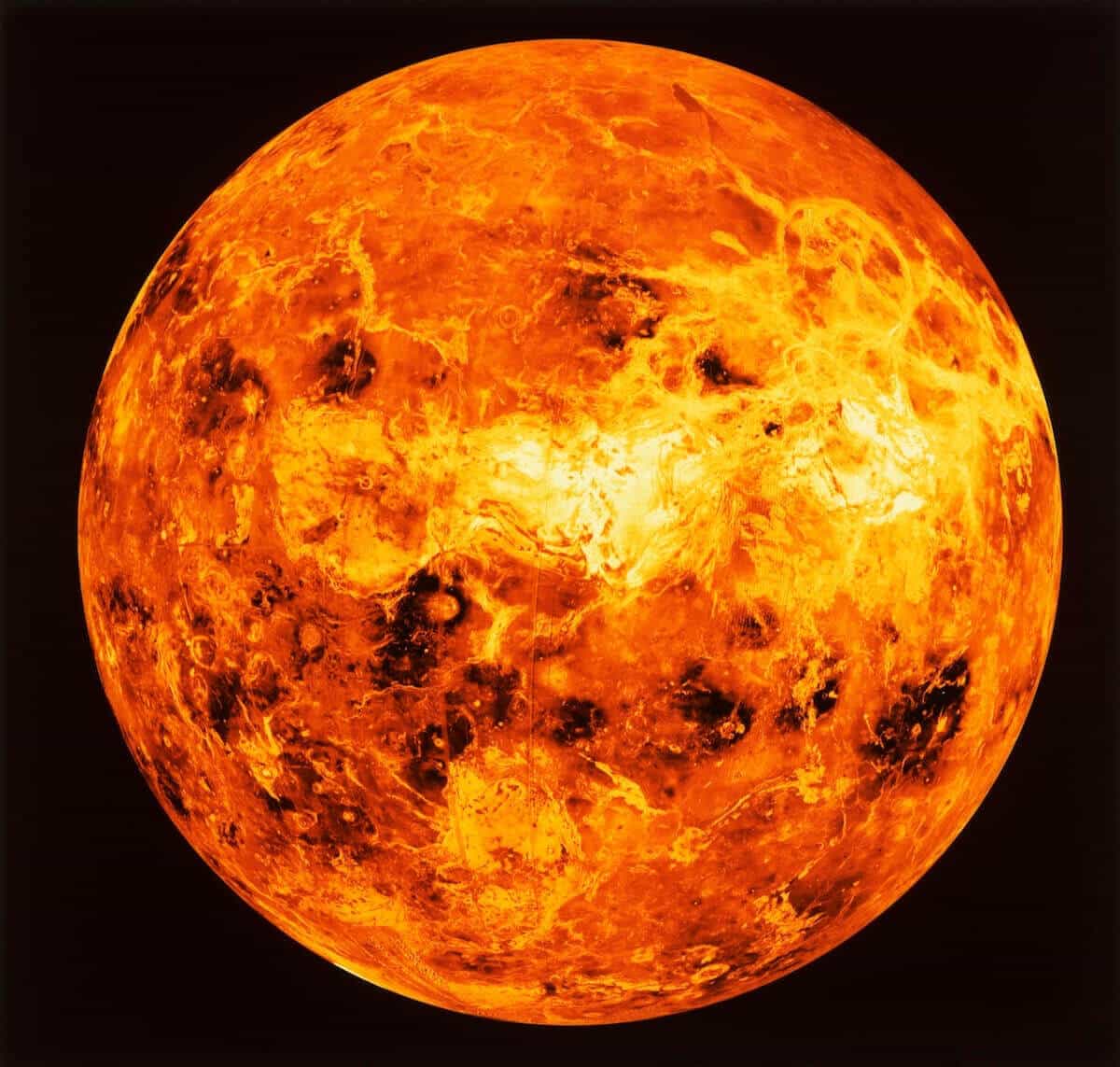 Life on Venus