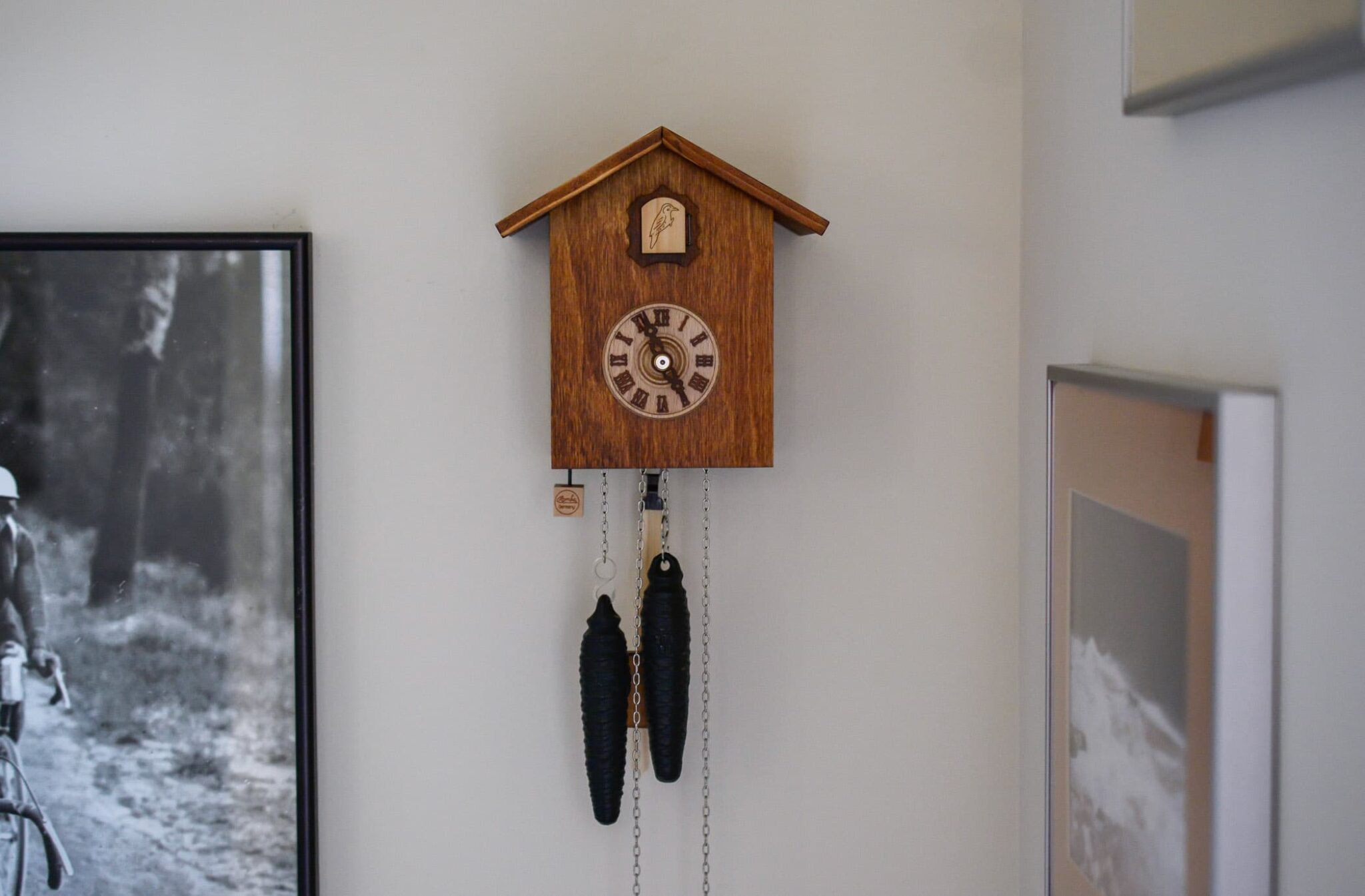 Contemporary and Modern Cuckoo Clocks Design Ideas Live Enhanced
