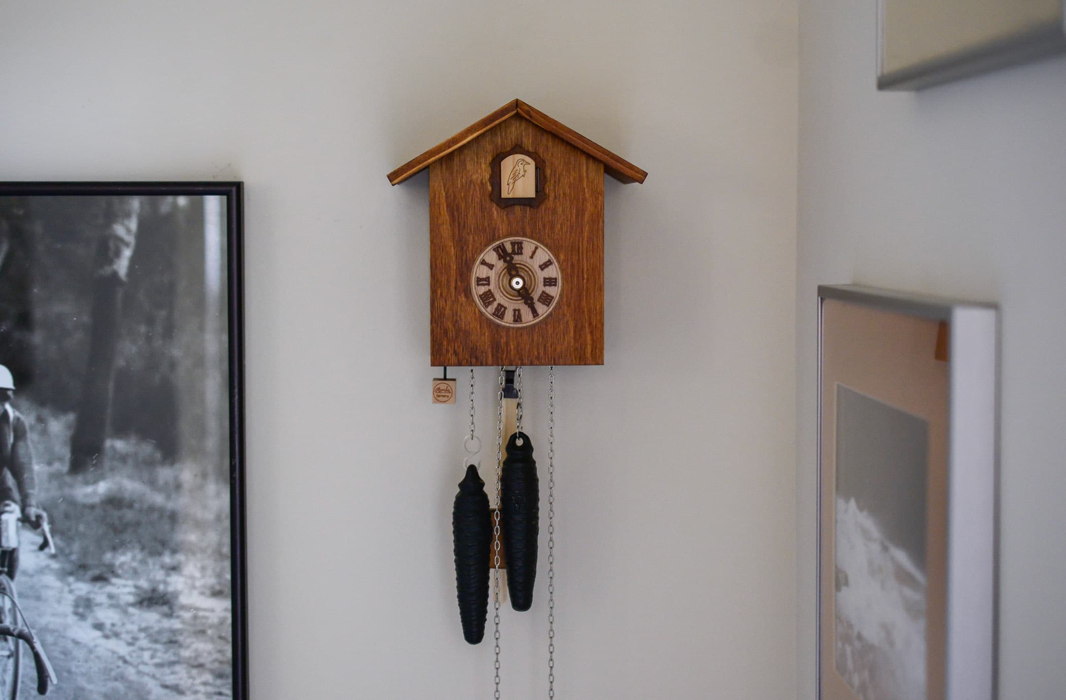 Modern Cuckoo Clocks